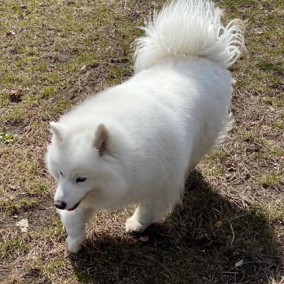 Meet your Posher, Christine - Picture 1 of 1